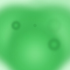 Abstract Green Blurred Background with Circular Shapes