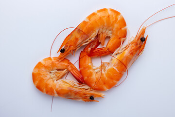 Couple of fresh orange shrimp, isolated on white background.