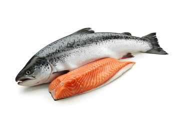 Obraz premium Fresh whole salmon and raw fillet