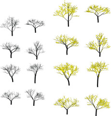 Obraz premium Collection of trees with and without leaves on white background