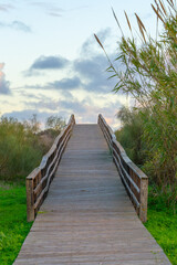 Elevated wooden walkway leads through lush greenery under cloudy sky.