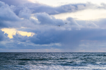 A pair of birds flies high over the calm ocean beneath a sky filled with dramatic clouds.