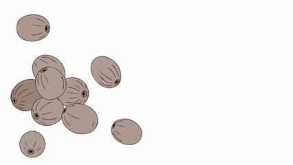 Illustration of brown plant seeds scattered on white background. Small organic plant seeds display natural texture, perfect for botanical studies, agriculture.