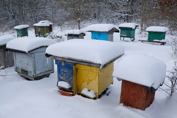 Colorful wooden beehives covered with snow on a winter day