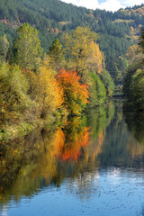 Fototapeta premium Landscape of Iskar River, passing near Lake Pancharevo, Bulgaria