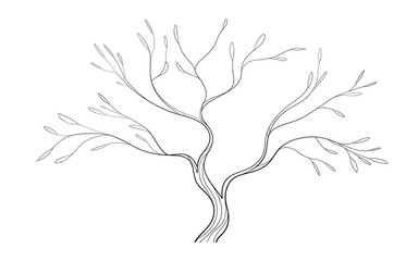 Stylized bare tree outline with branches and twigs isolated on a transparent background