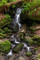 Trillium falls in Redwood National park