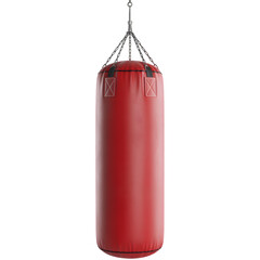 Hanging Boxing Bag for Gym and Martial Arts Workout