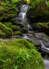 Trillium falls in Redwood National park