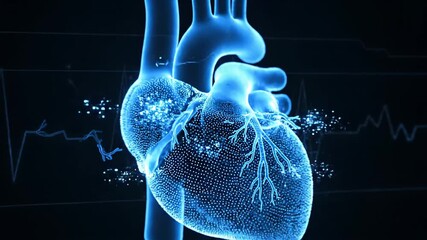 Digital rendition of a human heart with blue glow and neural network overlay.