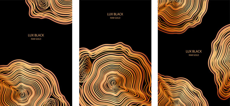  Elegant wood texture with golden rings and organic patterns. Luxury tree bark background perfect for sophisticated design projects and premium invitations.