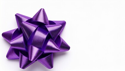 Shiny Purple Ribbon Bow Isolated On White Background With Copy Space For Using Special Days