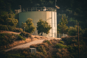 A tall, cylindrical water storage tank stands prominently on a sun-drenched, arid hillside dotted with sparse vegetation and a dirt road leading towards it © Tom