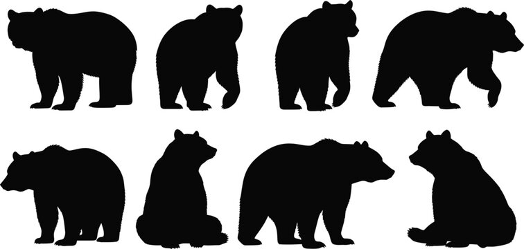 Collection of black bear silhouettes in various poses on transparent background