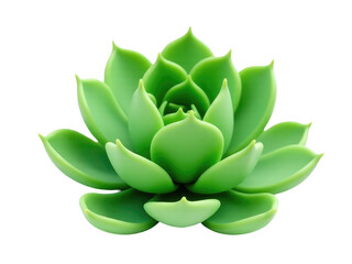 Fototapeta premium A detailed view of a small green plant on a white background, great for nature and botany images