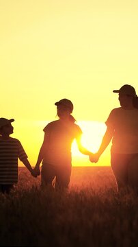 Farming family with children strolls through golden wheat field. Big farming family, group of people, a family business, teamwork. Dad mom daughter walk hand in hand. Children education, parenting