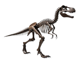 A fossilized T-Rex skeleton on a plain white background, great for dinosaur-themed projects