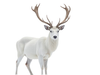 A majestic white deer stands tall in a snowy landscape, its antlers reaching for the sky