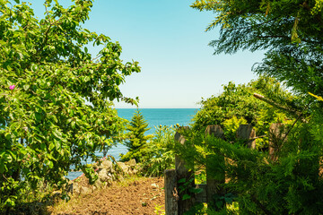 Sunny green garden life with lush trees framing the vibrant blue sea view. Highlighted by a rustic wooden fence in the foreground. Perfect for website design.