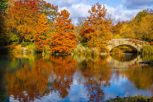Autumn lake with ducks and arched bridge in Central Park, New York City