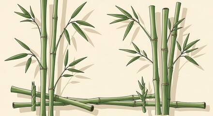 Obraz premium Graphic drawing of bamboo branches forming a frame, minimalist style