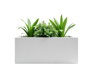 A ceramic planter filled with healthy green plants, perfect for indoor decorating or gifting