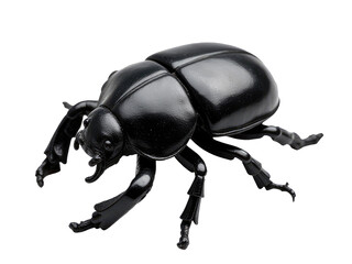 A small black toy beetle sits on a clean white surface, perfect for illustration or design