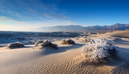 A Serene Winter Desert Scene With Frost Covered Shrubs In The Foreground Soft Rolling Sand Dunes In The Midground And Hazy Blue Mountains Under A Pale Sky In The Distance