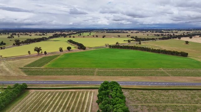 Over All Saints Winery vineyard and driveway to distant crops