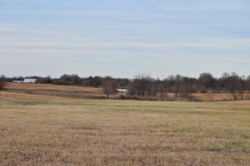 Obraz premium Farm Field