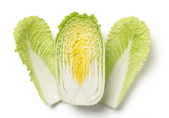 Fresh napa cabbage or chinese cabbage cut in half isolated on white background