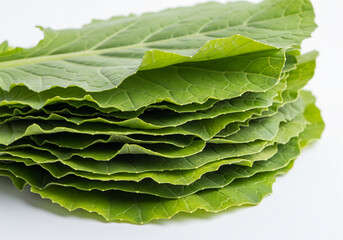 Fresh green mustard greens or leafy vegetable isolated on white background
