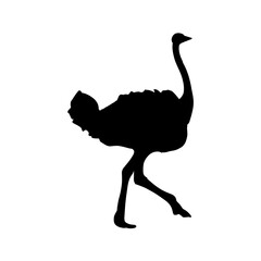 ostrich silhouette vector illustration isolated on white background
