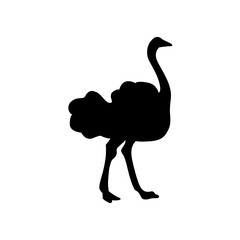 ostrich silhouette vector illustration isolated on white background