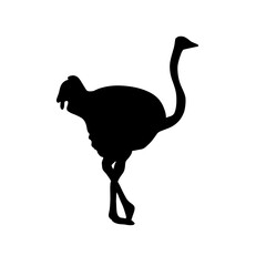 ostrich silhouette vector illustration isolated on white background