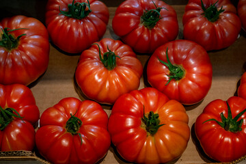 Closeup of tomatoes artichokes on display at the market. Red and green tomatoes for sale at a market. The Raf tomato is a Solanum lycopersicum, Solanaceae obtained from artificial selection practiced 