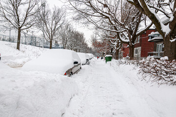 Quiet residential street after heavy snowfall with snow-covered cars, sidewalks, and bare trees, showing winter urban life and cold weather conditions.