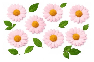 Pink daisies and fresh green leaves creating a seamless floral pattern for spring, nature, and botanical designs