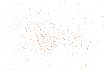 Grated coconut shell, wood pieces, curls and dust flying, crushed bark isolated on white background, organic texture, clipping path