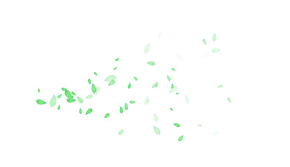 Fototapeta premium Green leaves pattern
