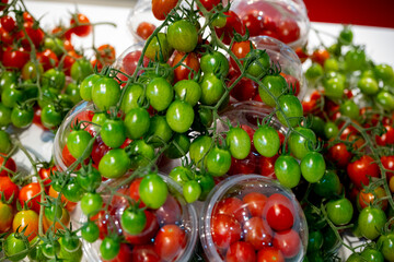 Selective focus of clean fresh small red tomatoes in a plactic bags for sale at a local market. The...