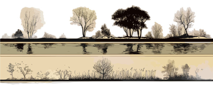 Silhouette di alberi invernali e vegetazione palustre con riflesso sull'acqua su sfondo trasparente.