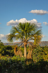 Obraz premium paisagem natural na cidade de São Domingos, Estado de Goiás, região de Terra Ronca, Brasil