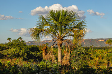 paisagem natural na cidade de S&atilde;o Domingos, Estado de Goi&aacute;s, regi&atilde;o de Terra Ronca, Brasil