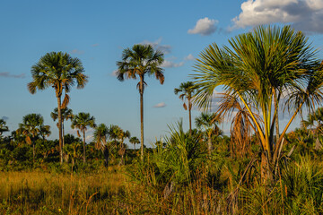 Naklejka premium paisagem natural na cidade de São Domingos, Estado de Goiás, região de Terra Ronca, Brasil