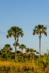 Naklejka premium paisagem natural na cidade de São Domingos, Estado de Goiás, região de Terra Ronca, Brasil