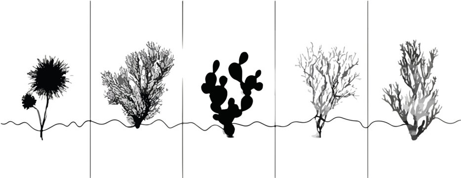 Illustrazione vettoriale in bianco e nero di diverse forme di alghe marine e coralli su sfondo trasparente.