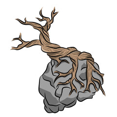 Gnarled Dead Tree Roots Growing on Rock Vector Illustration Isolated