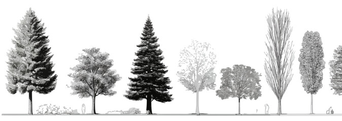 様々な種類の木々が並ぶ、透明な背景の線画イラスト。自然の景観を表現。