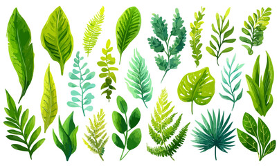 様々な緑の葉っぱのイラストセット、透明な背景に配置された植物のコレクション、自然の美しさを表現